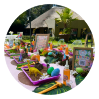 Dino Dig and Discover Party